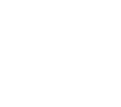 money icon