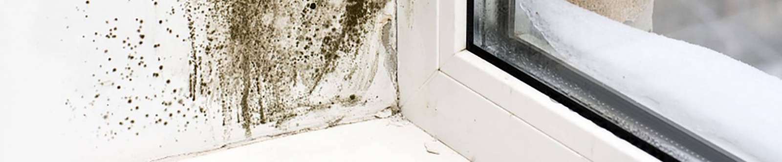 For Condensation, Mould And Damp | Polypipe